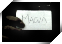 El Ambiente en el Mundo - LA NOCHE DE LOS PUBL&Iacute;VOROS 2008