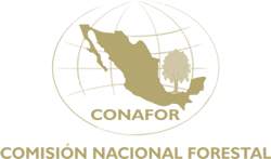 comision nacional forestal